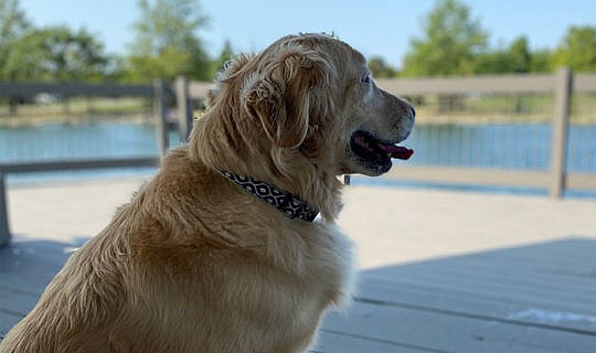 Lacey, Chief Barketing Officer, at the lake